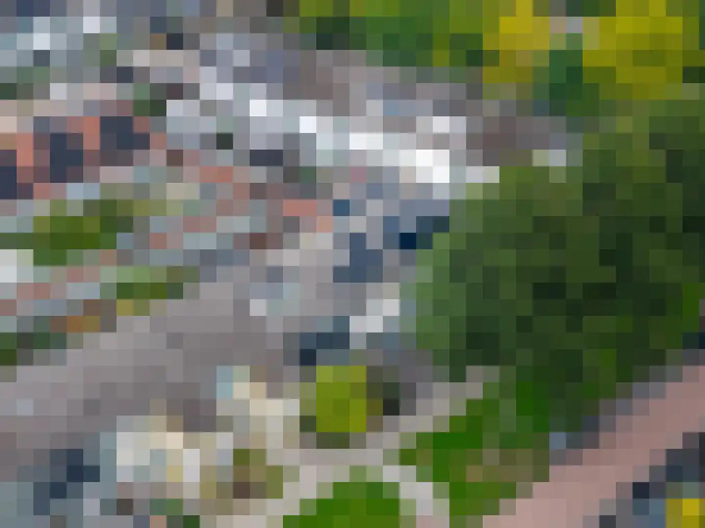 de Lauwers 17 Emmeloord thumbnail 45