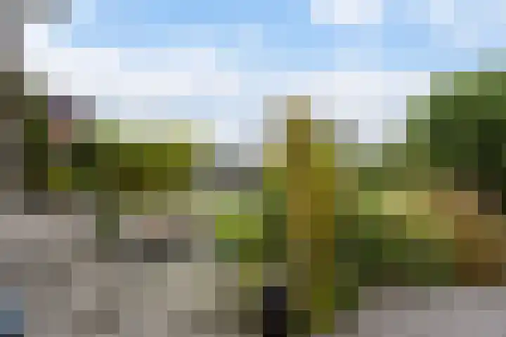 De Lauwers 28 Leeuwarden thumbnail 33
