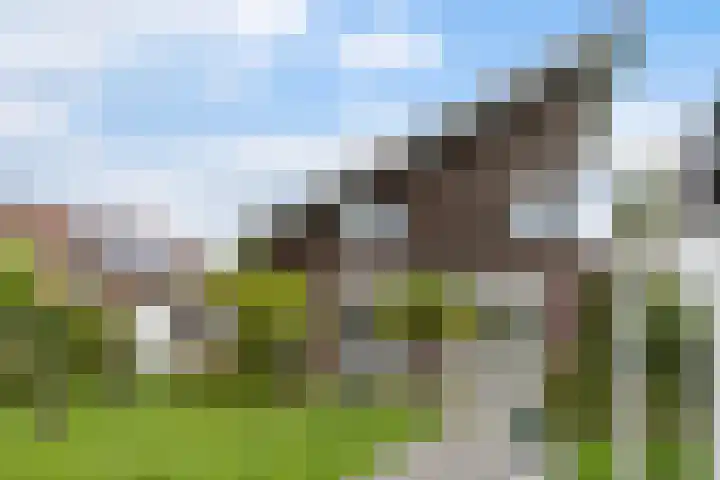 De Lauwers 28 Leeuwarden thumbnail 39