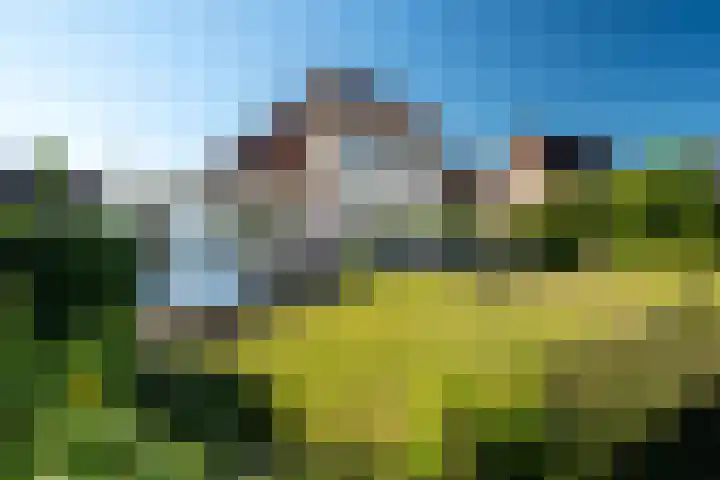 De Lauwers 29 Leeuwarden thumbnail 7