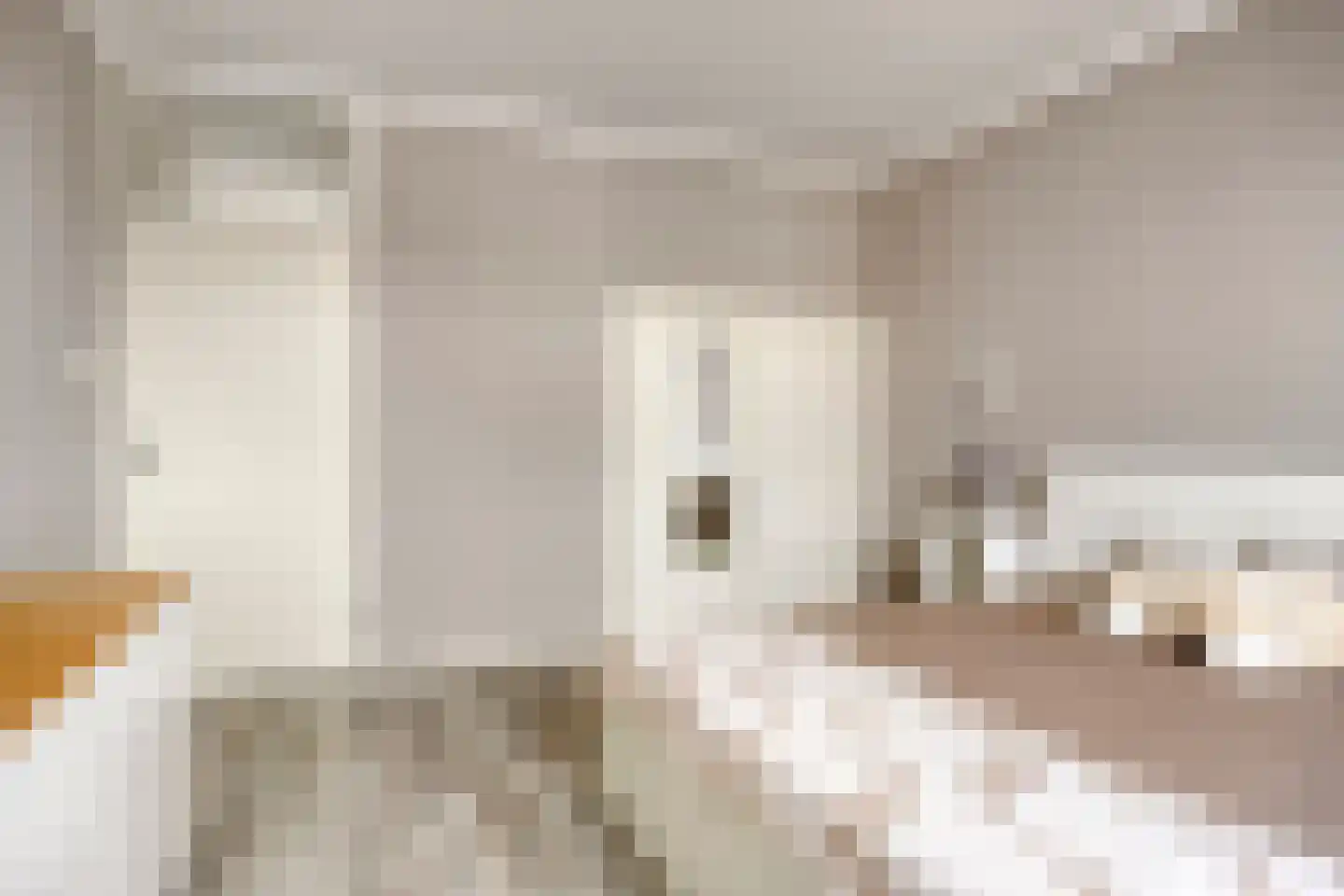 de Lauwers 5 Emmeloord thumbnail 12