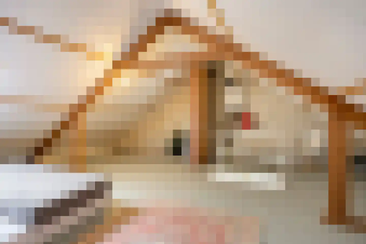 de Lauwers 5 Emmeloord thumbnail 19