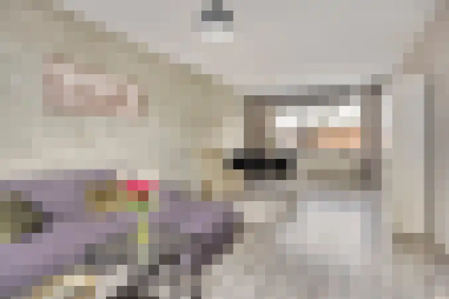 de Lauwers 5 Emmeloord thumbnail 6