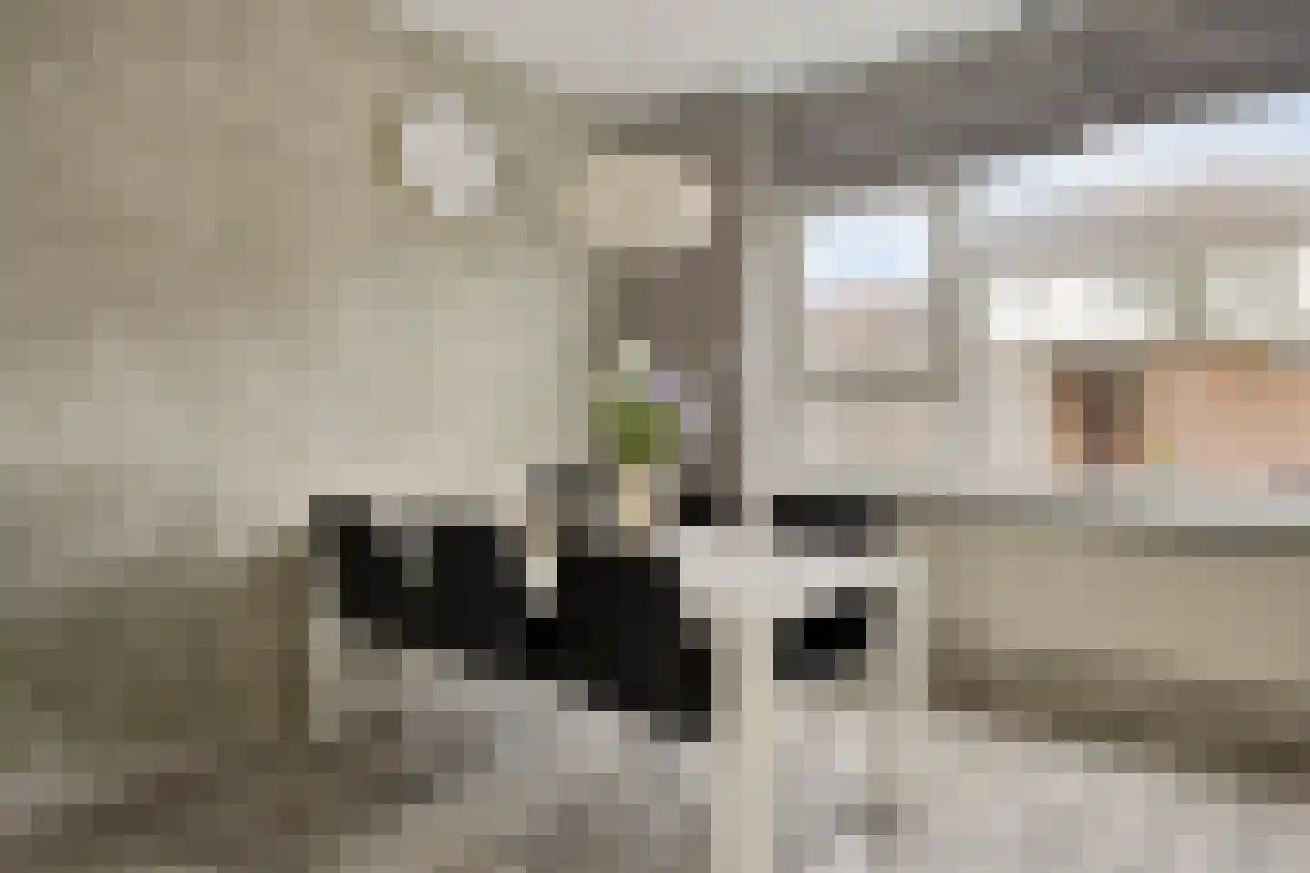 de Lauwers 5 Emmeloord thumbnail 8