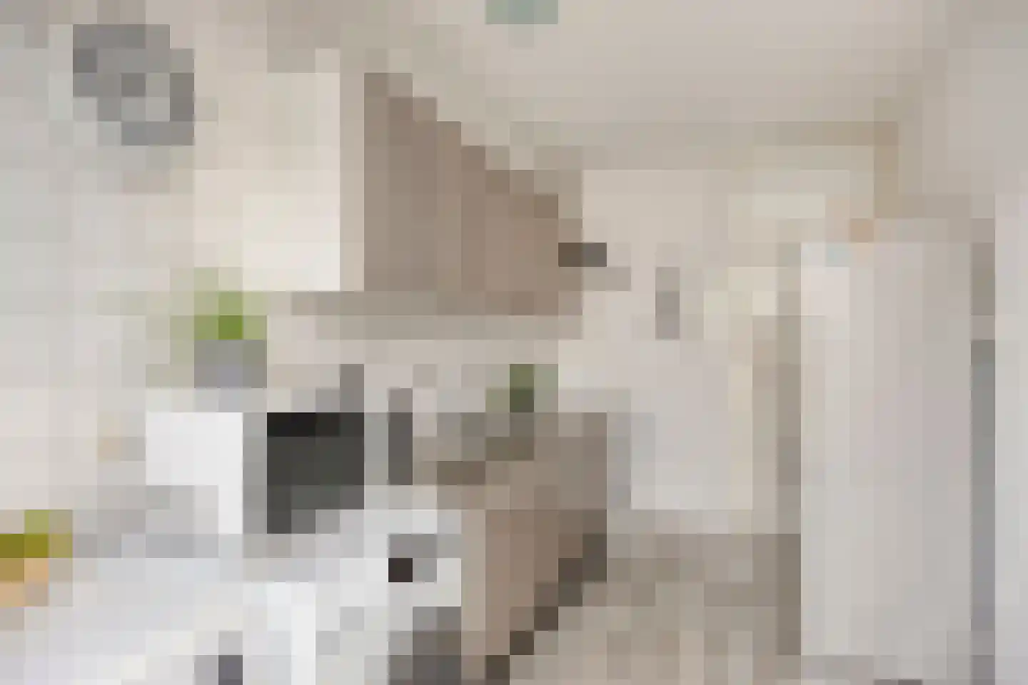 de Lauwers 5 Emmeloord thumbnail 9
