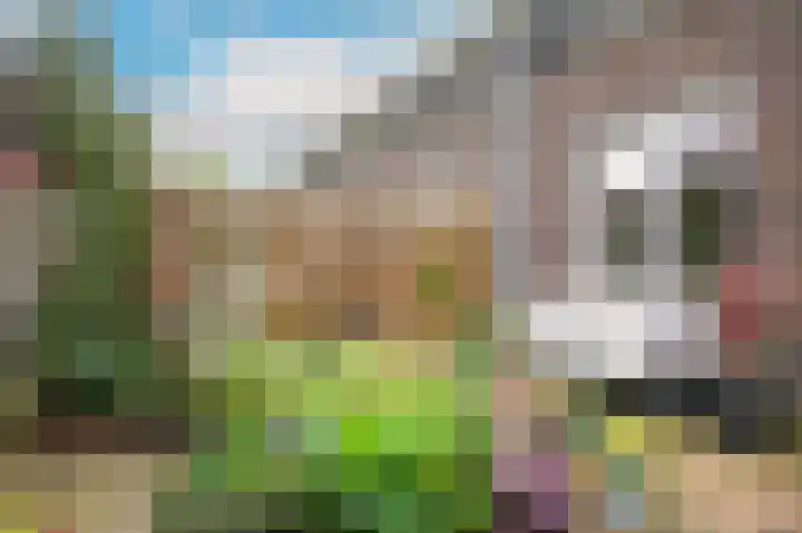 De Leck 14 Ravenswaaij thumbnail 15