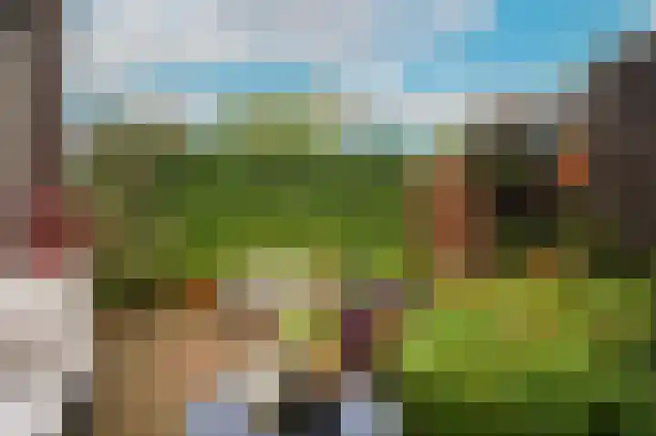 De Leck 14 Ravenswaaij thumbnail 18