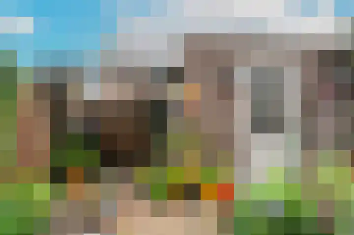 De Leck 14 Ravenswaaij thumbnail 19