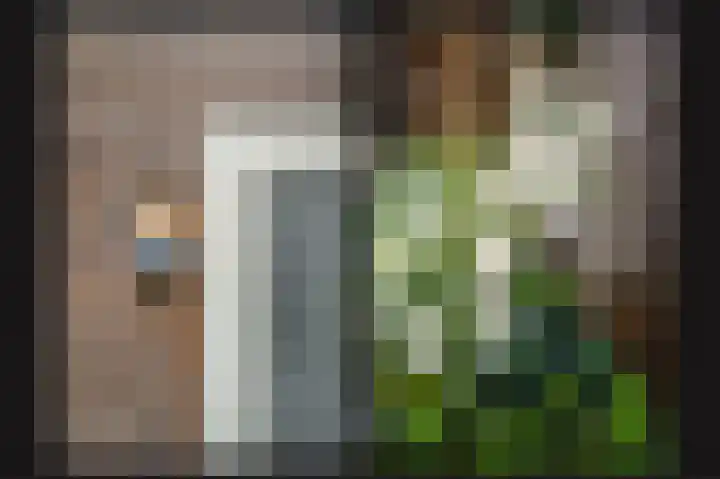 De Leck 14 Ravenswaaij thumbnail 20