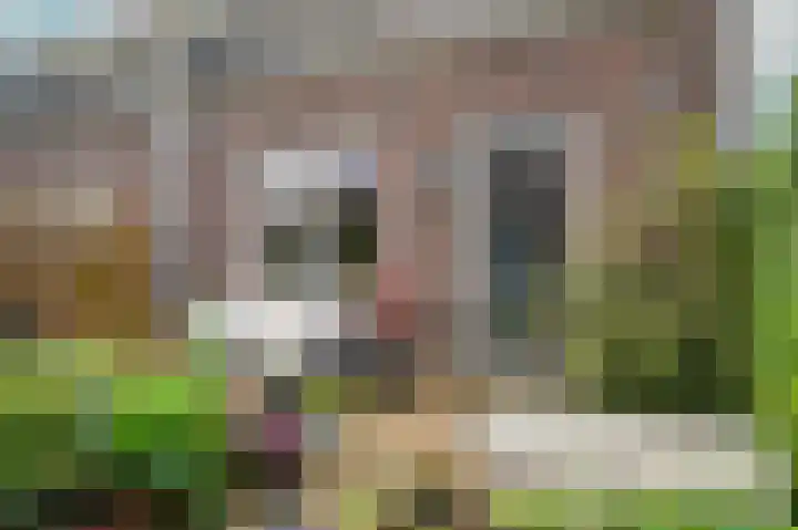 De Leck 14 Ravenswaaij thumbnail 21
