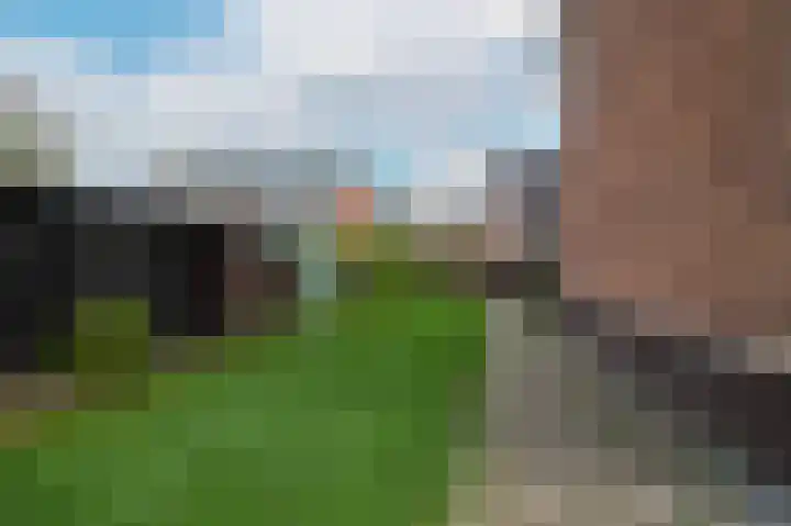De Leck 14 Ravenswaaij thumbnail 25