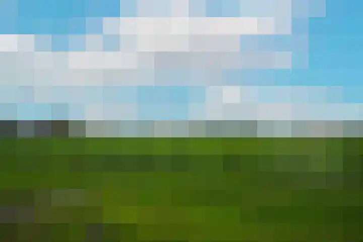 De Leck 14 Ravenswaaij thumbnail 28