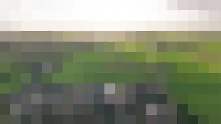 De Leck 14 Ravenswaaij thumbnail 30