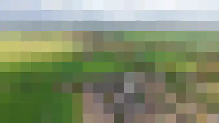 De Leck 14 Ravenswaaij thumbnail 31