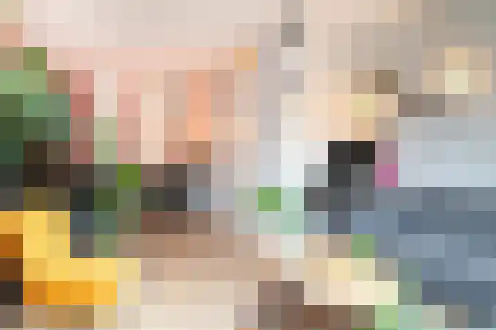 De Leck 14 Ravenswaaij thumbnail 5
