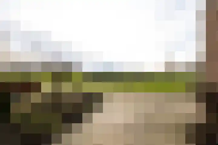 De Lede 24 Zetten thumbnail 12