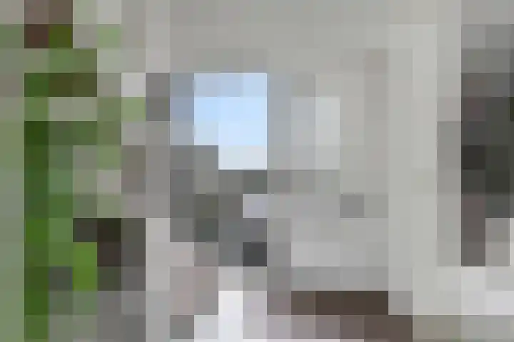 De Lede 24 Zetten thumbnail 16