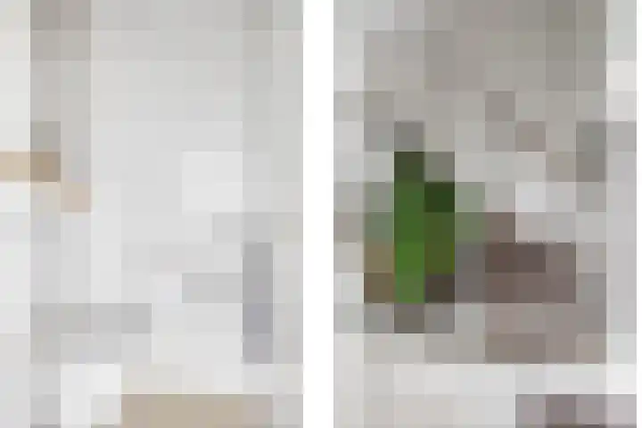 De Lede 24 Zetten thumbnail 17
