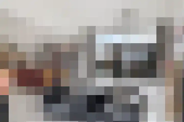 De Lede 24 Zetten thumbnail 26