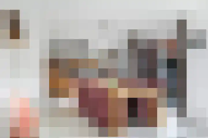De Lede 24 Zetten thumbnail 29