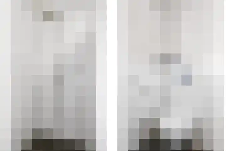 De Lede 24 Zetten thumbnail 43