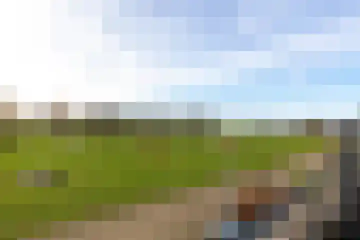 De Lede 24 Zetten thumbnail 49