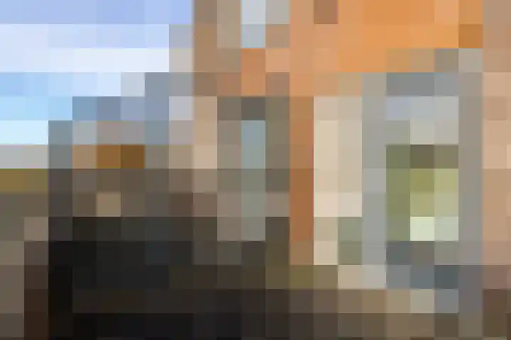 De Lede 24 Zetten thumbnail 50