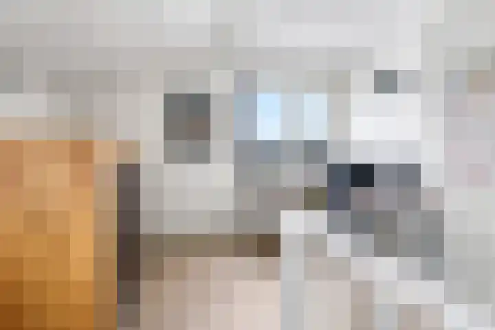 De Lede 24 Zetten thumbnail 56