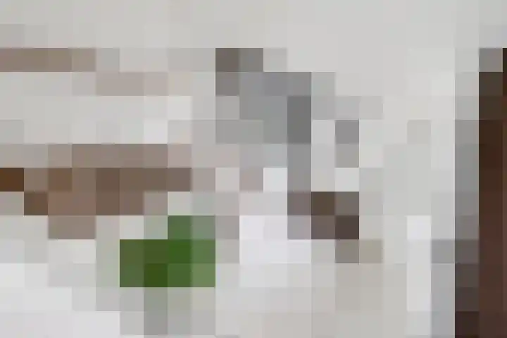 De Lede 24 Zetten thumbnail 57