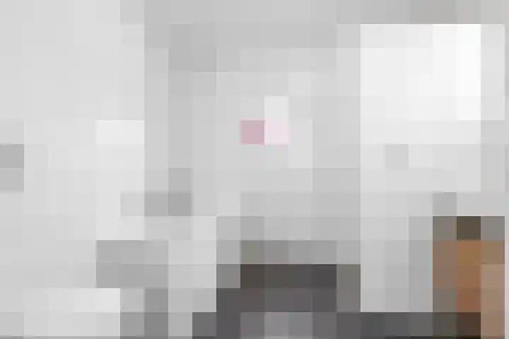 De Lede 24 Zetten thumbnail 6
