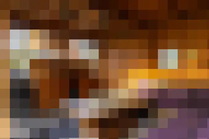 De Lede 24 Zetten thumbnail 65