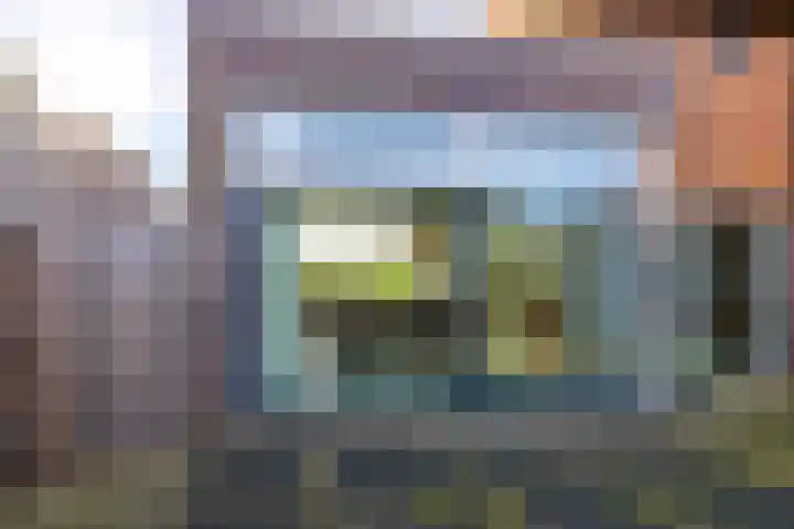 De Lede 24 Zetten thumbnail 70