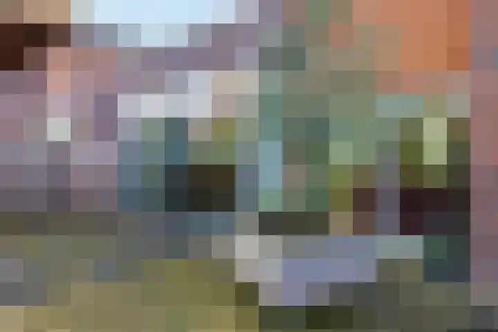 De Lede 24 Zetten thumbnail 72