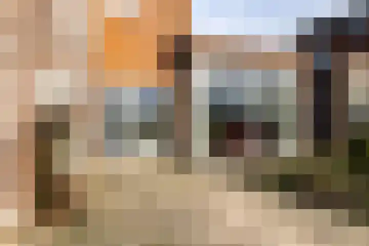 De Lede 24 Zetten thumbnail 78