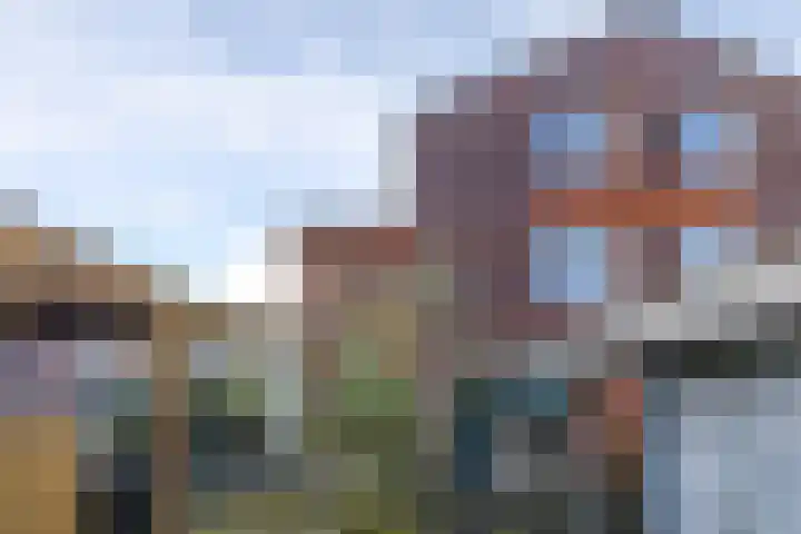 De Lede 24 Zetten thumbnail 8