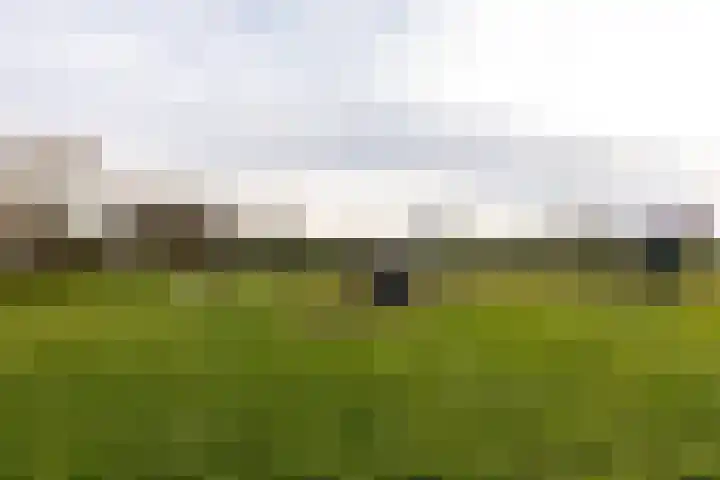 De Lede 24 Zetten thumbnail 84