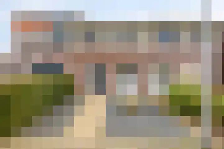 De Lede 4 in Zetten