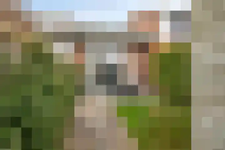 De Lede 4 Zetten thumbnail 28