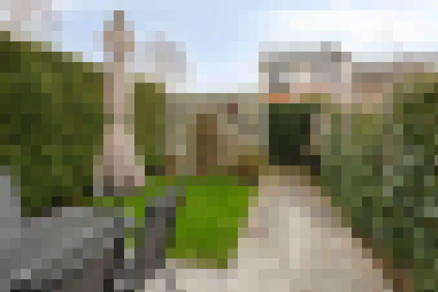 De Lede 4 Zetten thumbnail 29