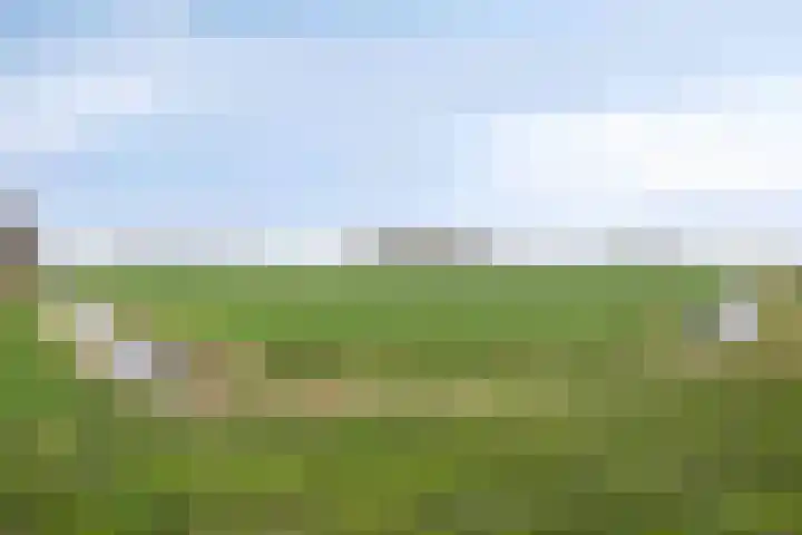 De Lede 4 Zetten thumbnail 32