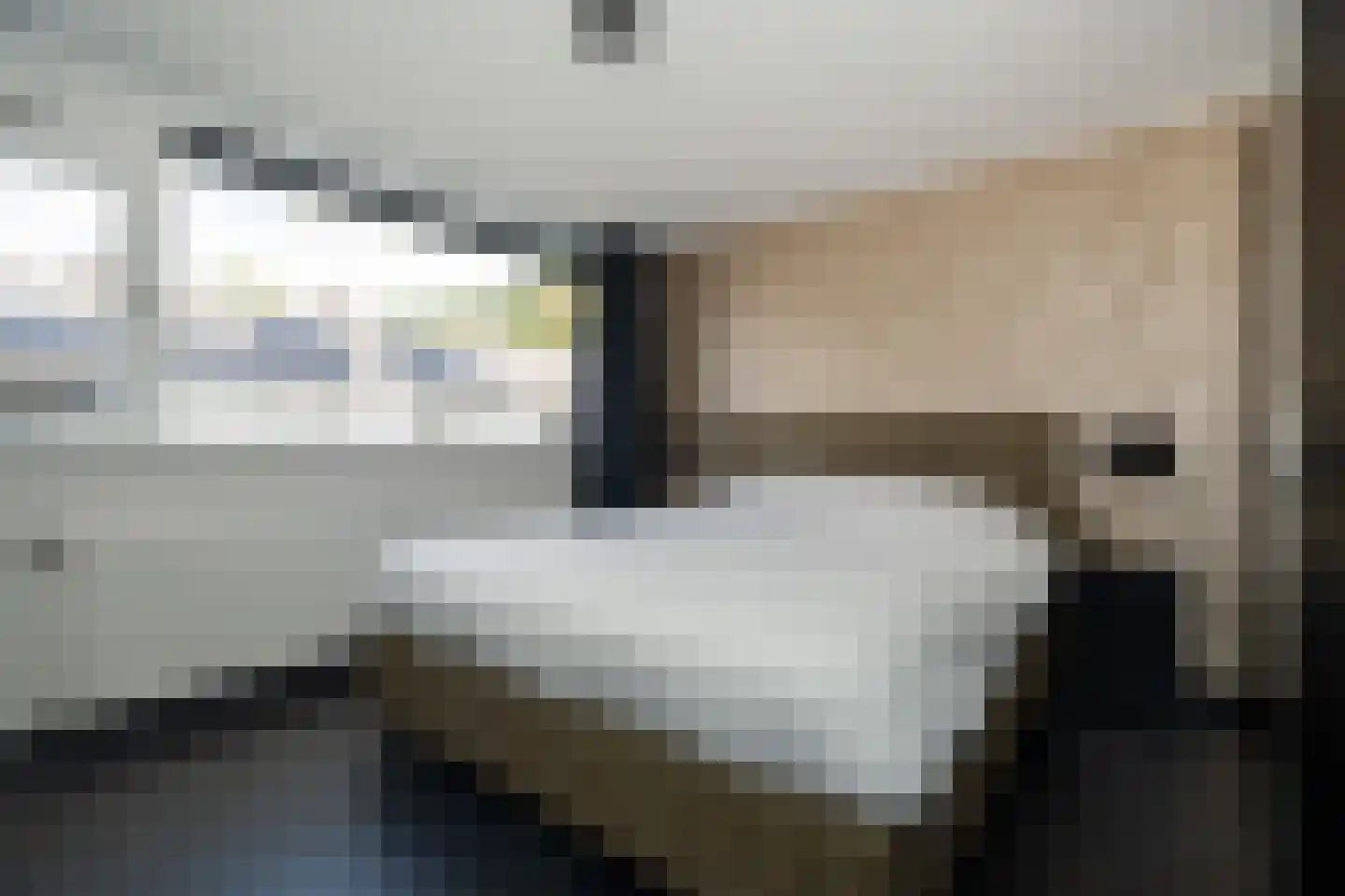 de Leegte 115 Epe thumbnail 13