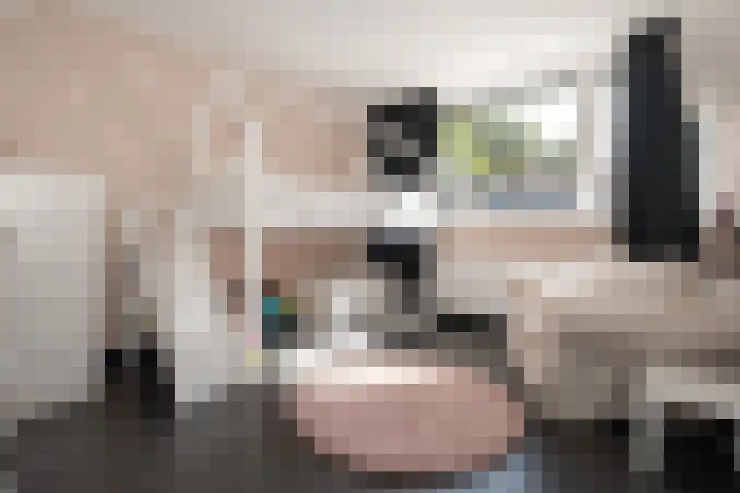 de Leegte 115 Epe thumbnail 15