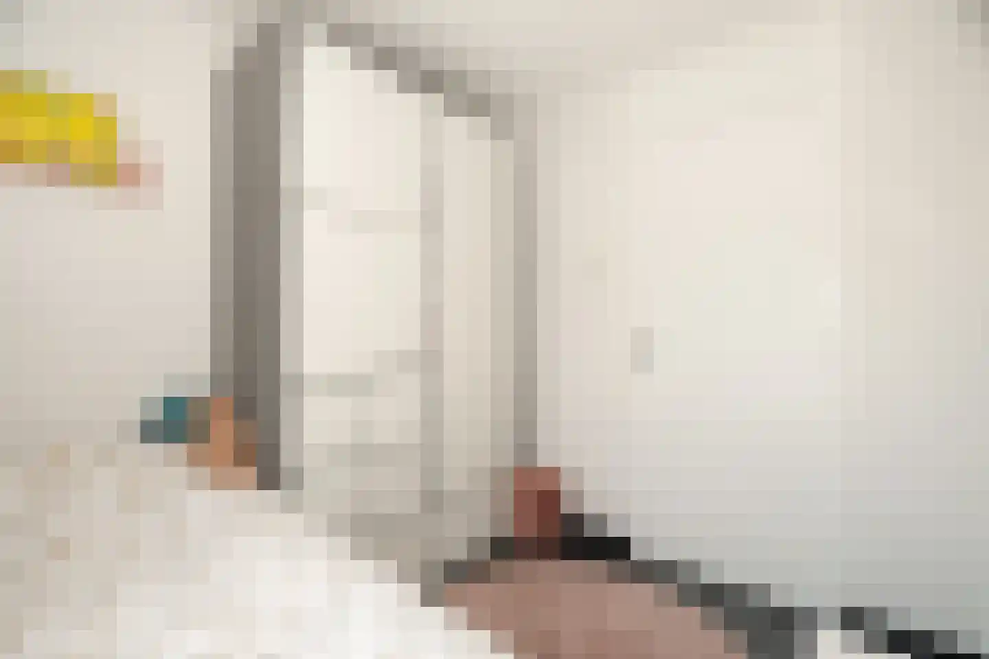 de Leegte 115 Epe thumbnail 18