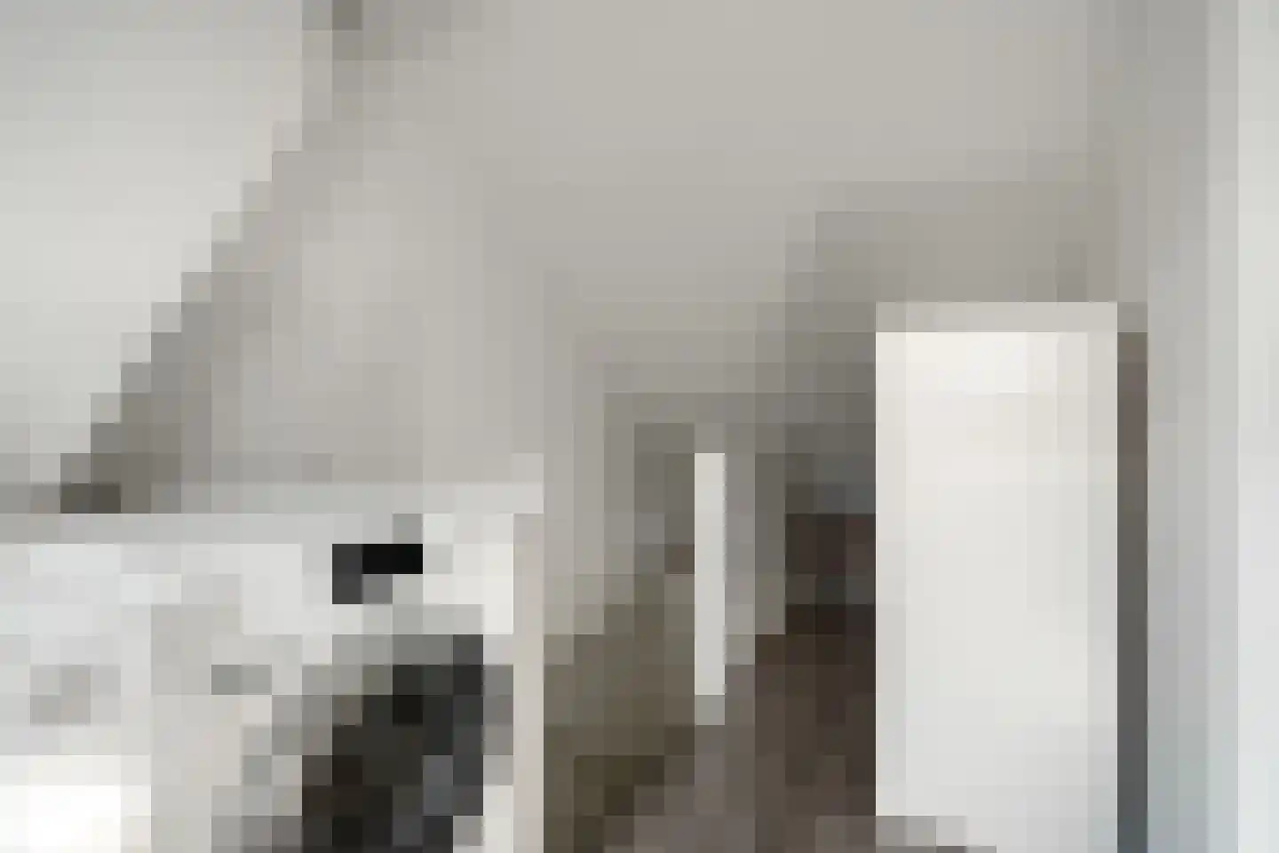 de Leegte 115 Epe thumbnail 22