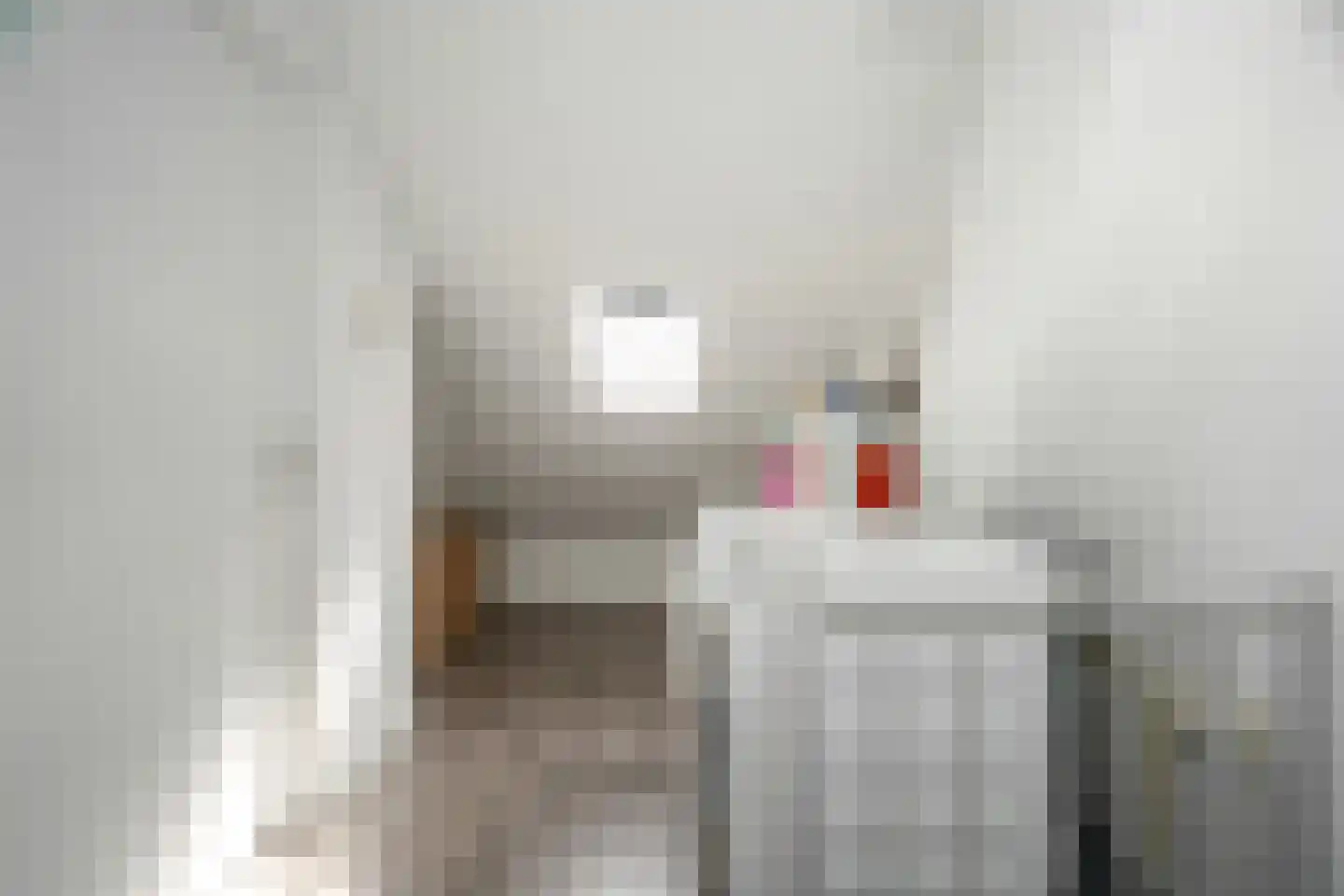 de Leegte 115 Epe thumbnail 23
