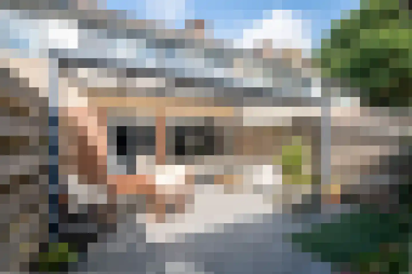 de Leegte 115 Epe thumbnail 26