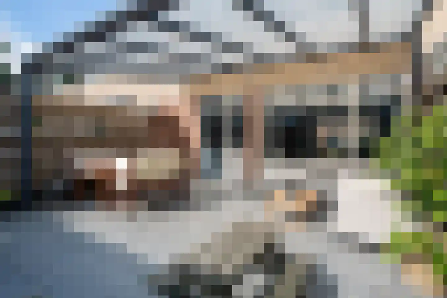 de Leegte 115 Epe thumbnail 27