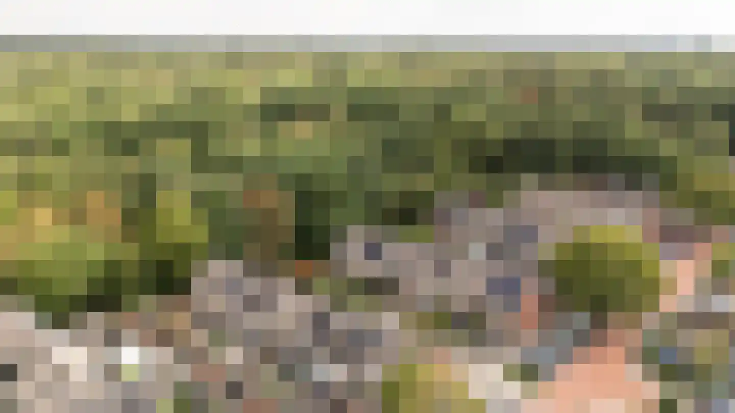 de Leegte 115 Epe thumbnail 32