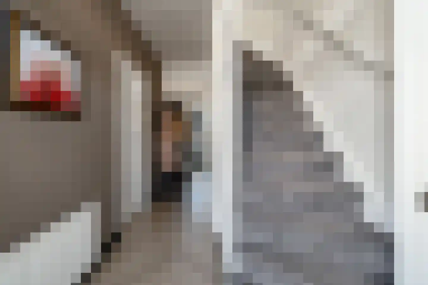 de Leegte 115 Epe thumbnail 4