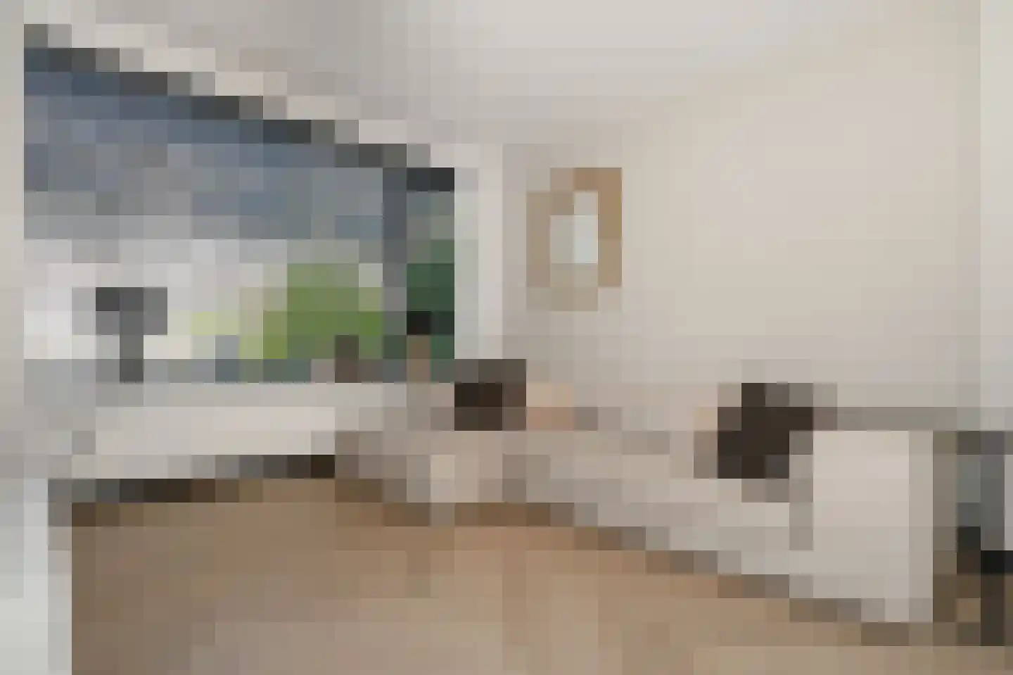 de Leegte 115 Epe thumbnail 5